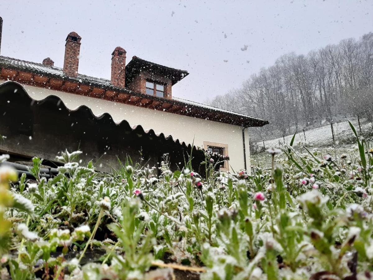 Hotel Rural El Rexacu Bobia de Arriba Kültér fotó
